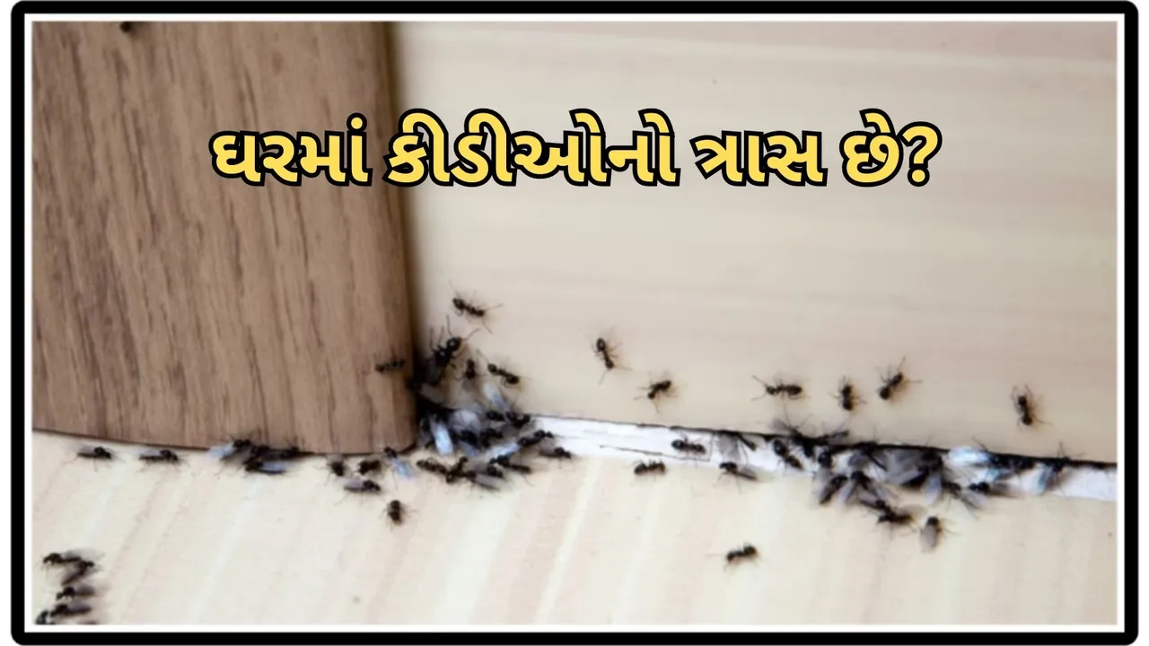 Remedy for ants