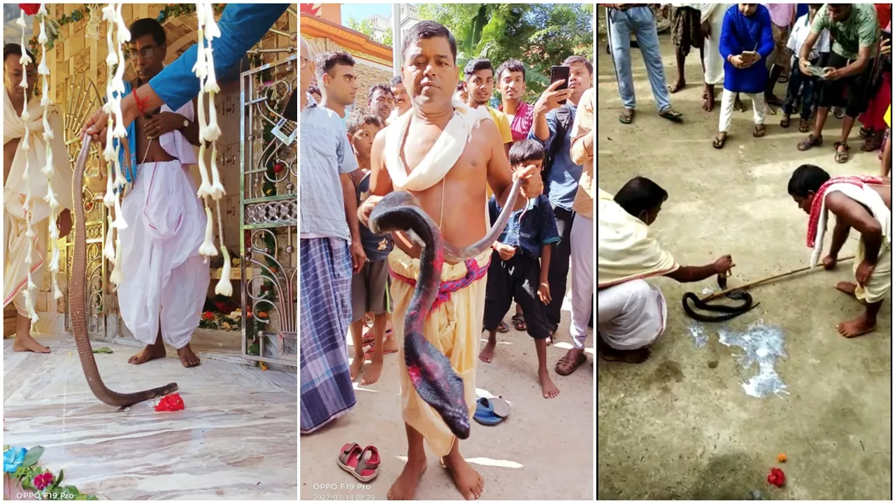 people of purba bardhaman's bhatar and manglkote offers puja to jhanjlai snake, ঝাঁকলাই, সাপ পুজো, পূর্ব বর্ধমান