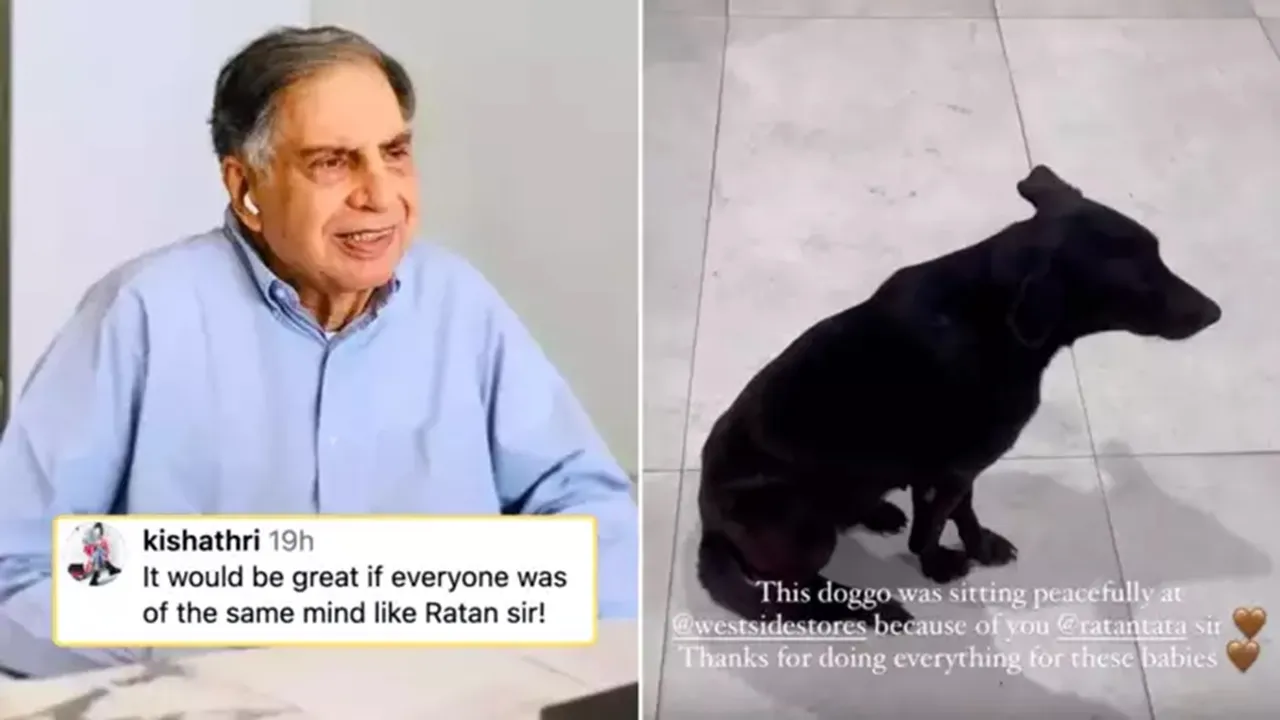 "ratan tata help dogs, stray dogs ratan tata, ratan tata viral post, dog in west side,ভিডিও ভাইরাল হওয়ার পরই বিখ্যাত শিল্পপতি রতন টাটার প্রশংসা করছেন মানুষ।