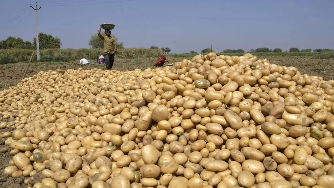 reason behind increase in potato prices in West Bengal markets, আলুর দাম বৃদ্ধি