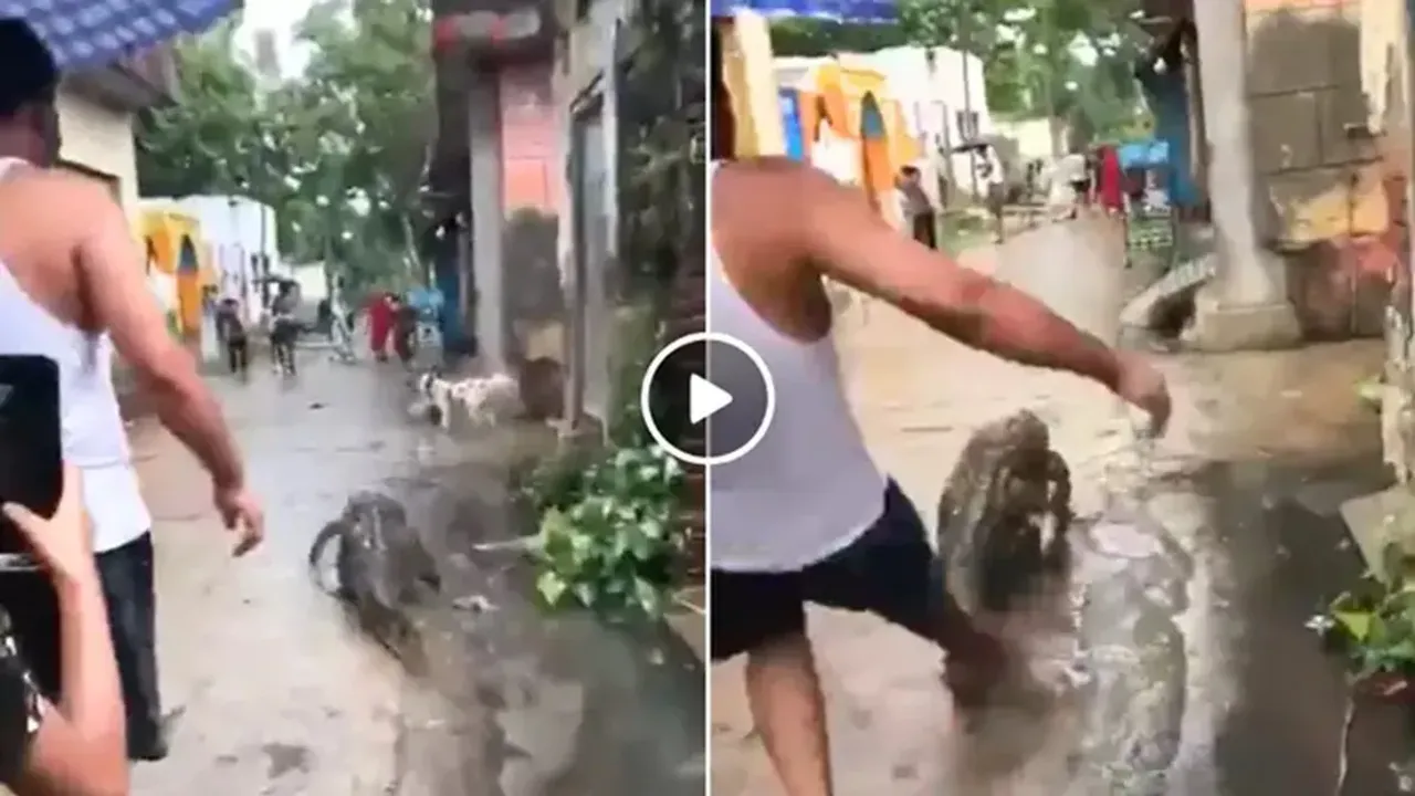 viral