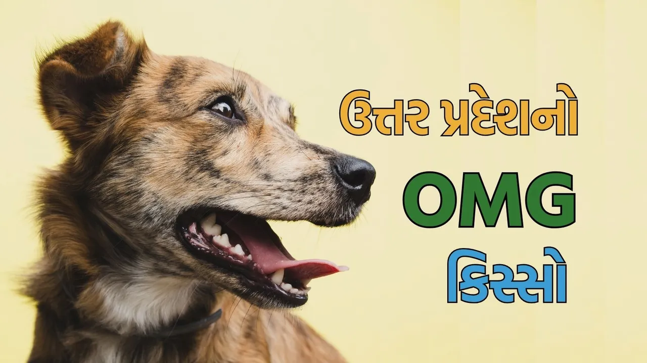 Uttar pradesh OMG case