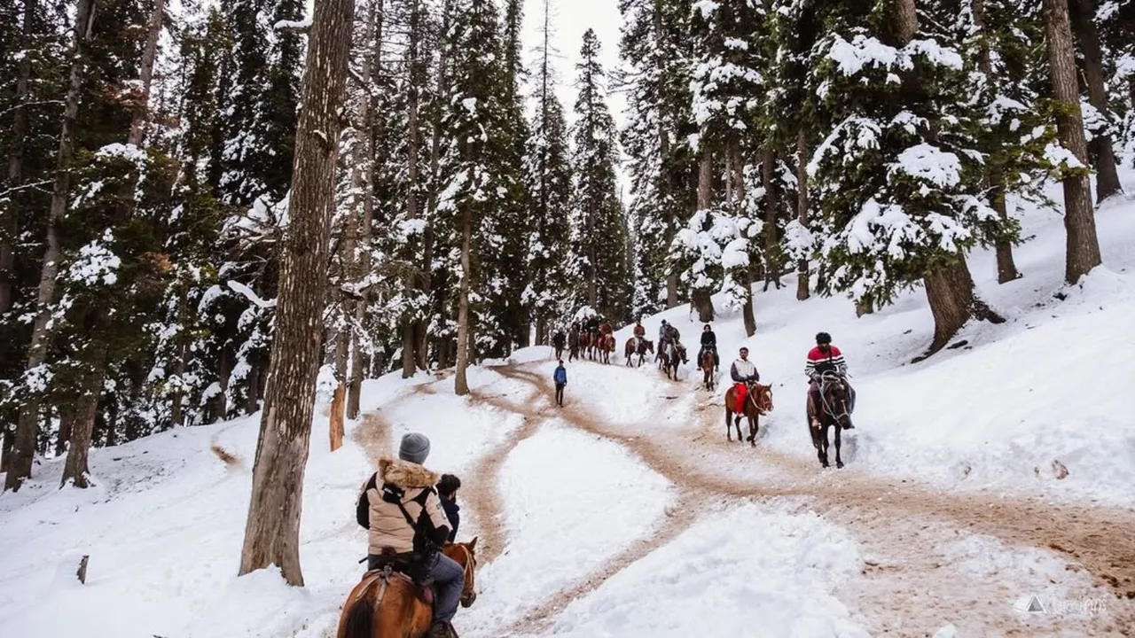 Baisaran Valley Trip