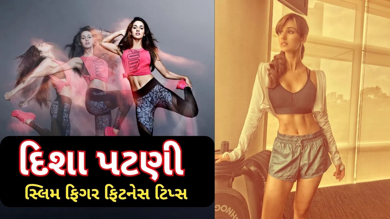 disha weight loss secret