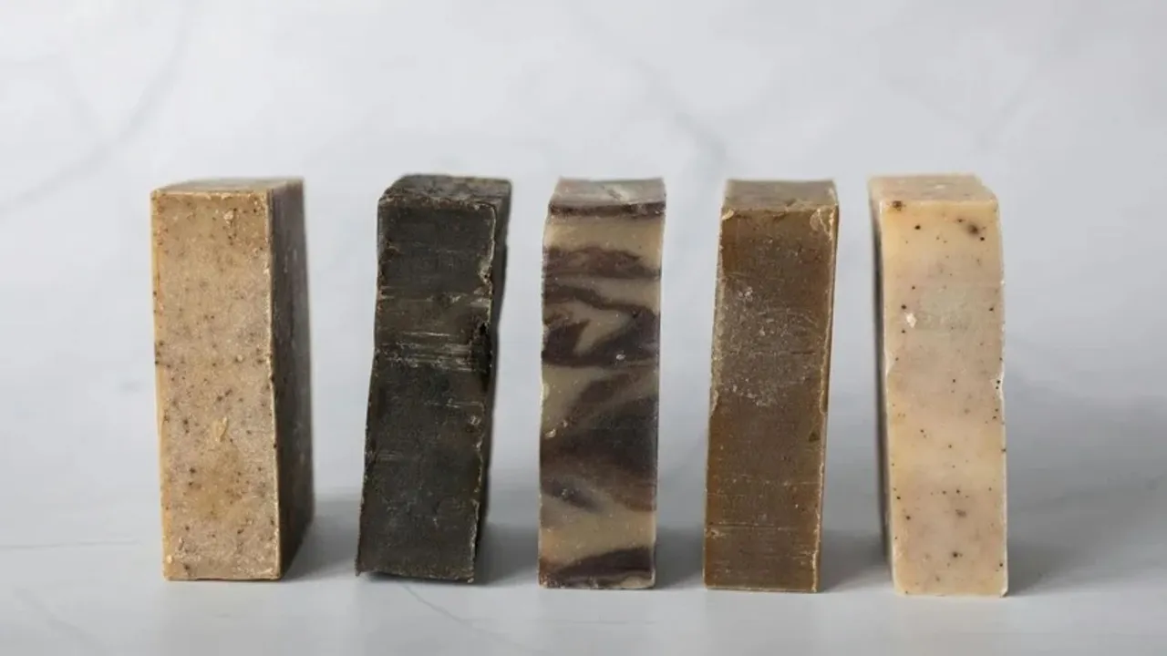 human body facts science