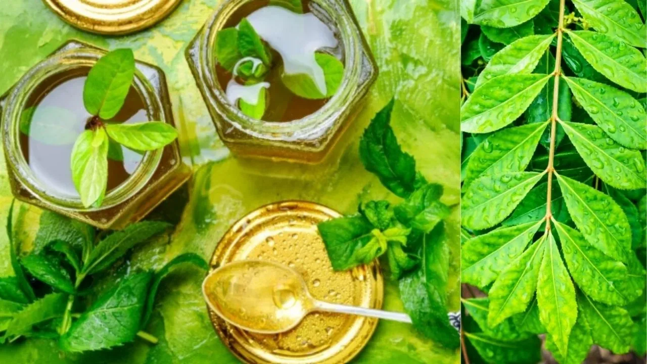 khali pet neem tulsi shahad khane ke fayde