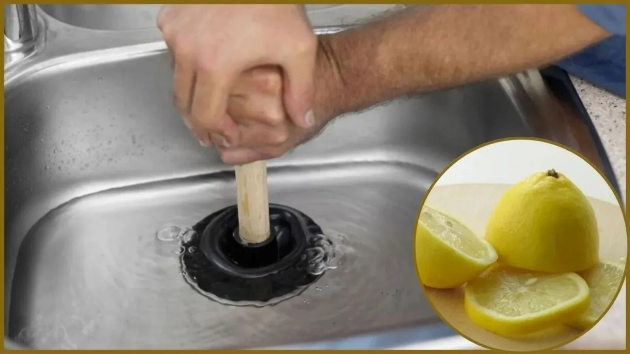 Kitchen sink Clean with Lemon