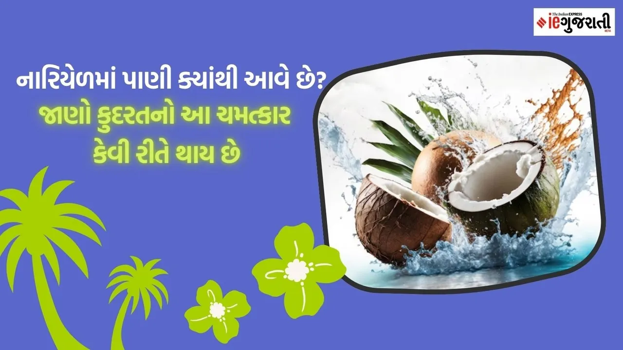 Interesting facts about Coconut