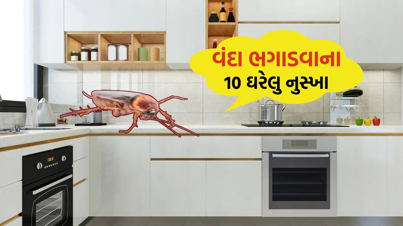 Cockroaches Rid Tips | Cockroaches Rid Tips tricks | cockroaches rid home remedies | cockroaches rid homemade spray | home cleaning tips and tricks