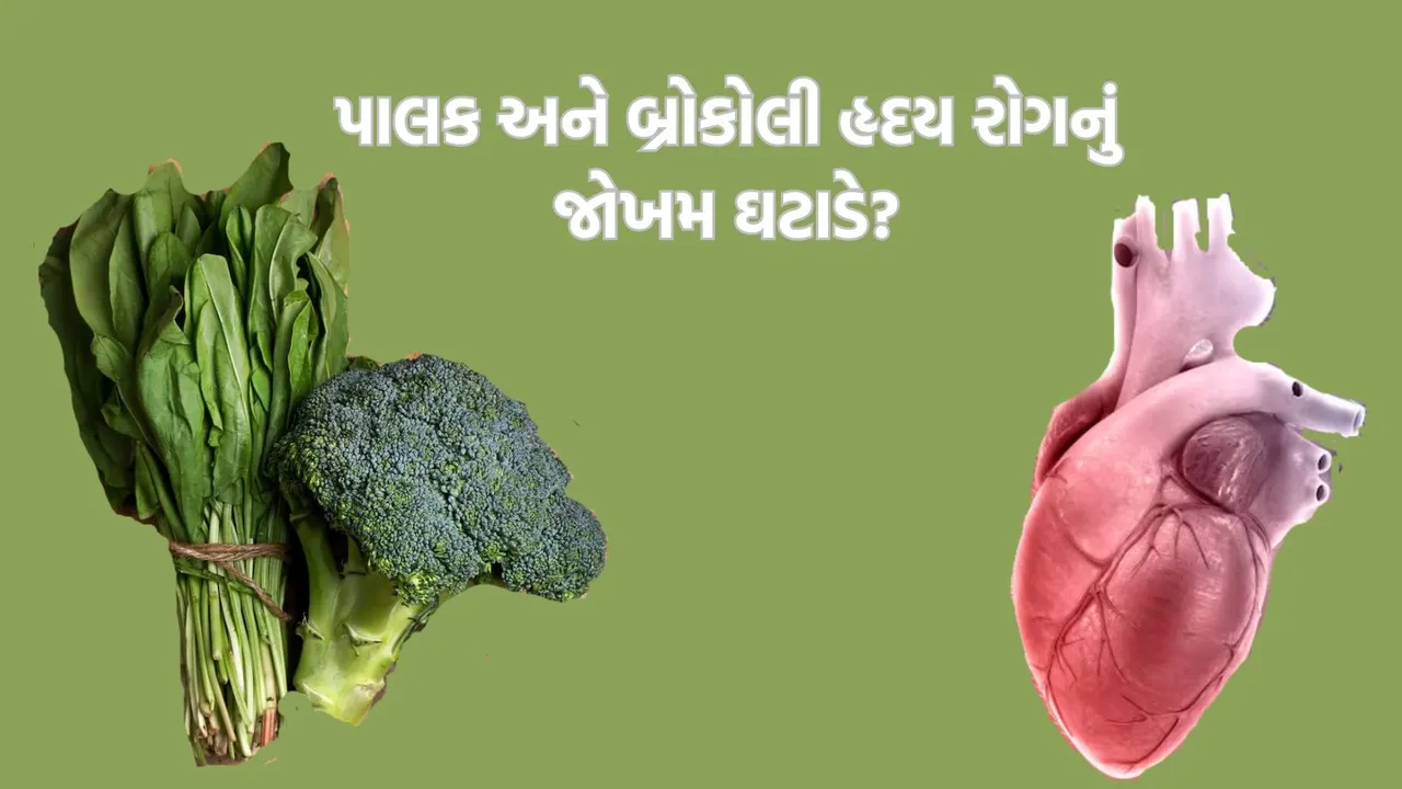 Can eating spinach and broccoli reduce the risk of heart disease