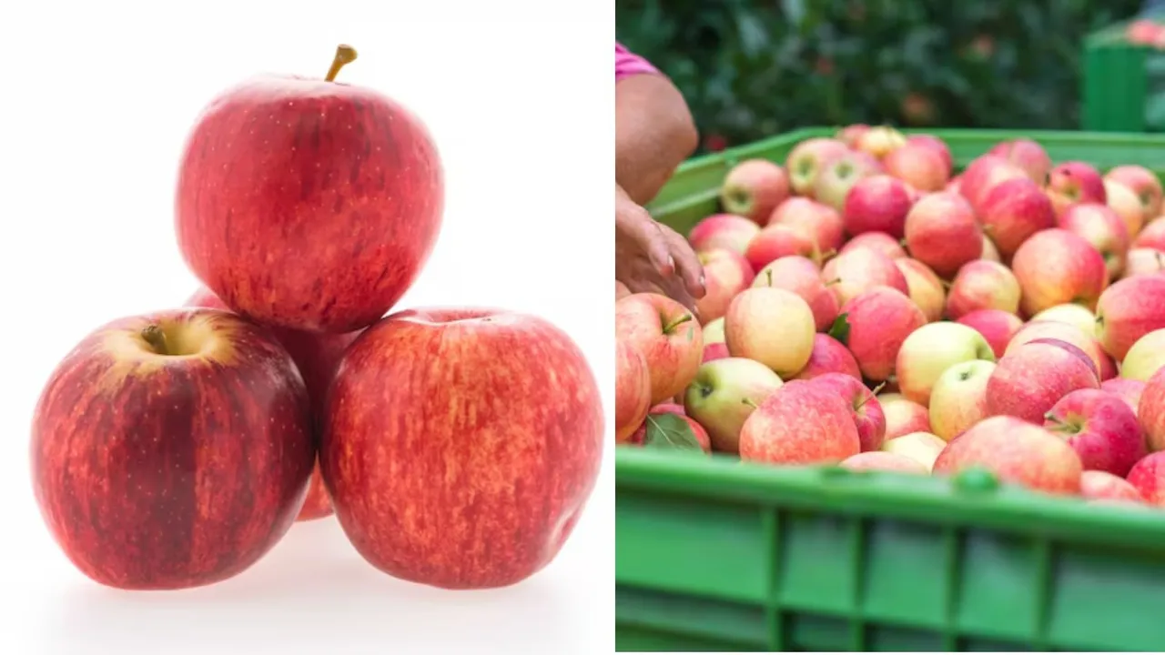 Apples grown in India or apples imported from abroad which is better for health