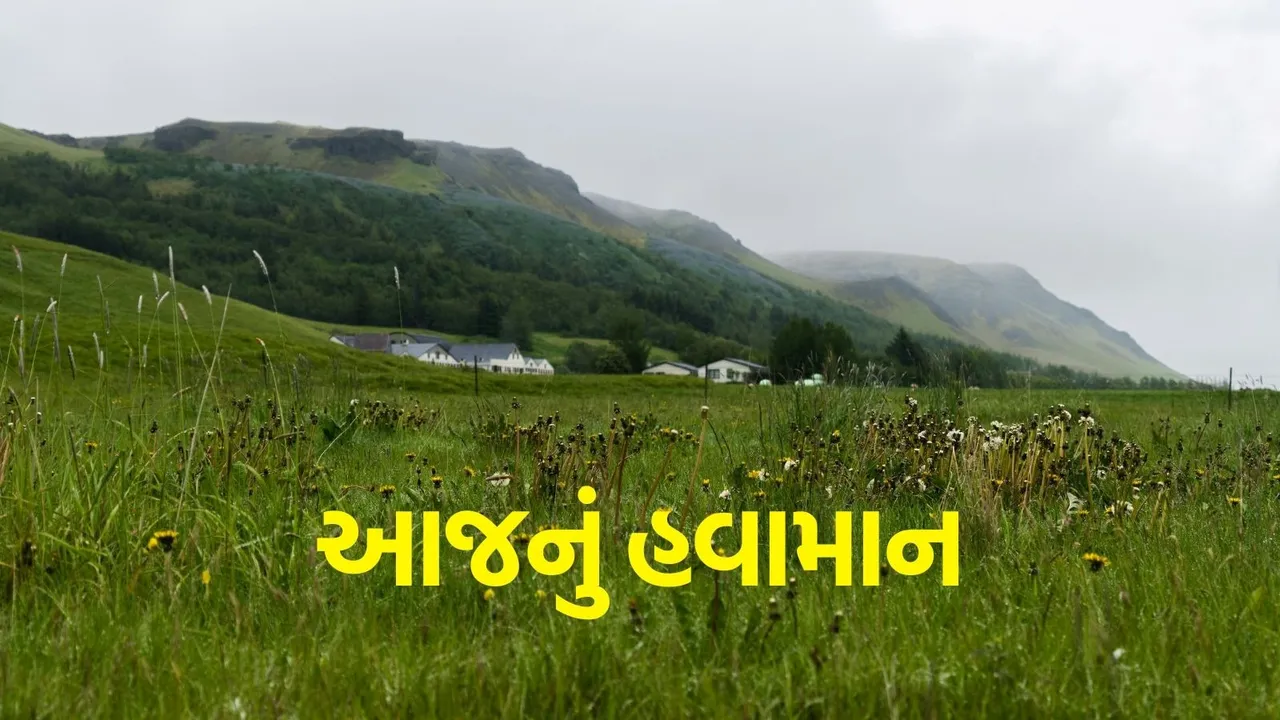 today weather imd forecast