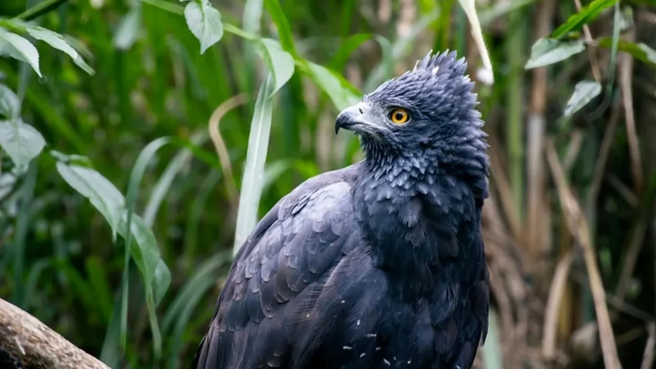 power of nature is far greater than humans