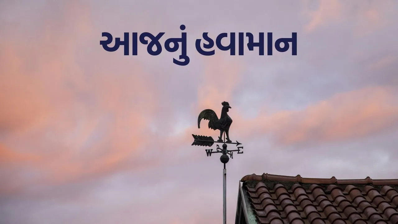 imd weather forecast