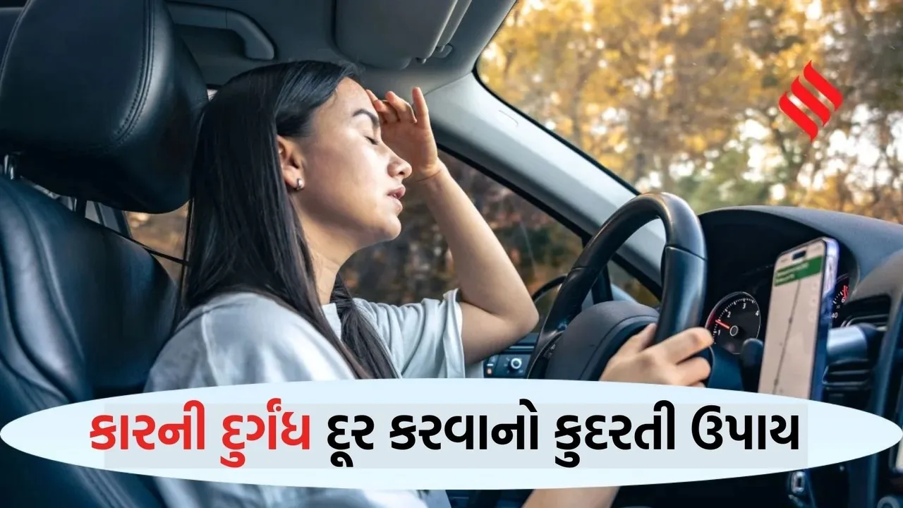 Car Smell Natural Remedies