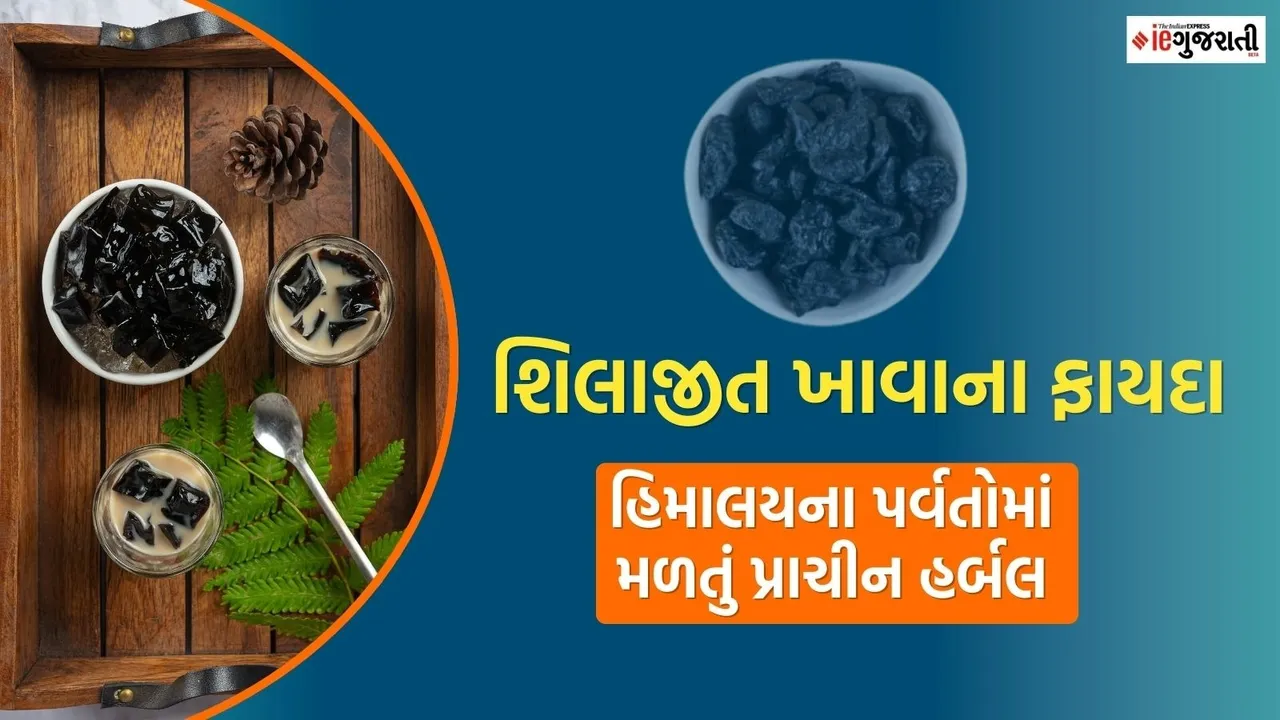 Shilajit benefits in summer for immunity and energy