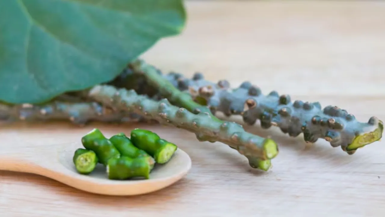 Giloy benefits in gujarati