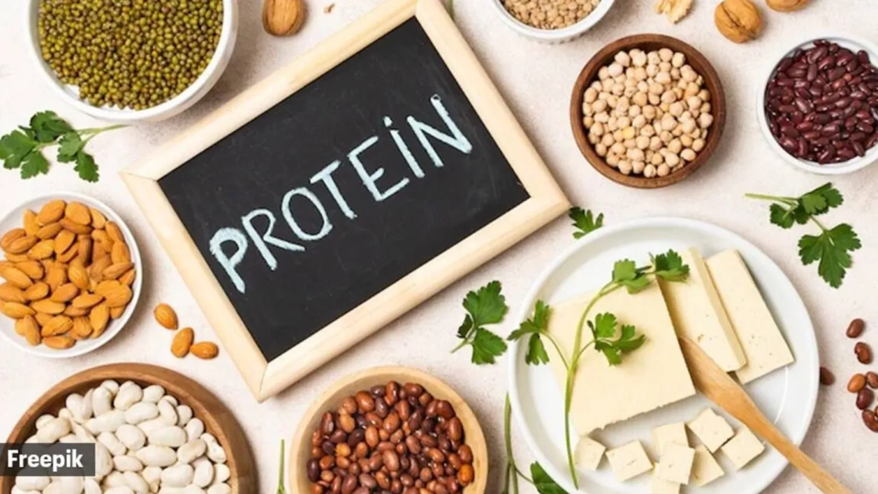 World Protein Day importance