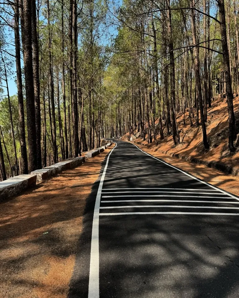 Lansdowne Hill Station