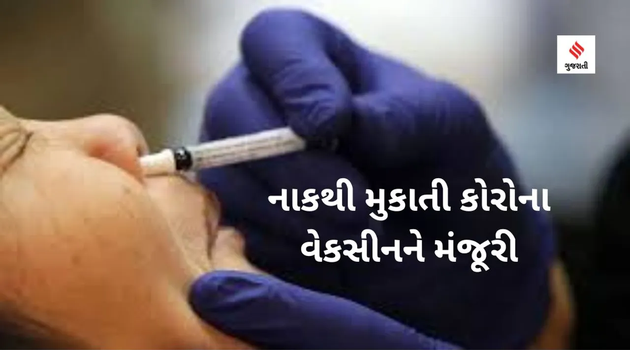 બુસ્ટર ડોઝ લેનાર વ્યક્તિ નોઝલ વેક્સીન લઇ શકે કે નહીં? જાણો વેક્સીન ટાસ્ક ફોર્સના વડાએ શું કહ્યું
