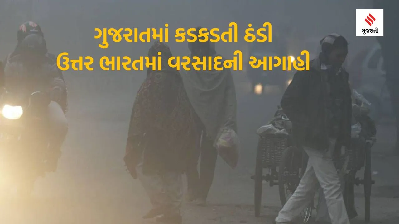 Gujarat Weather |North India Weather | Winter in North India