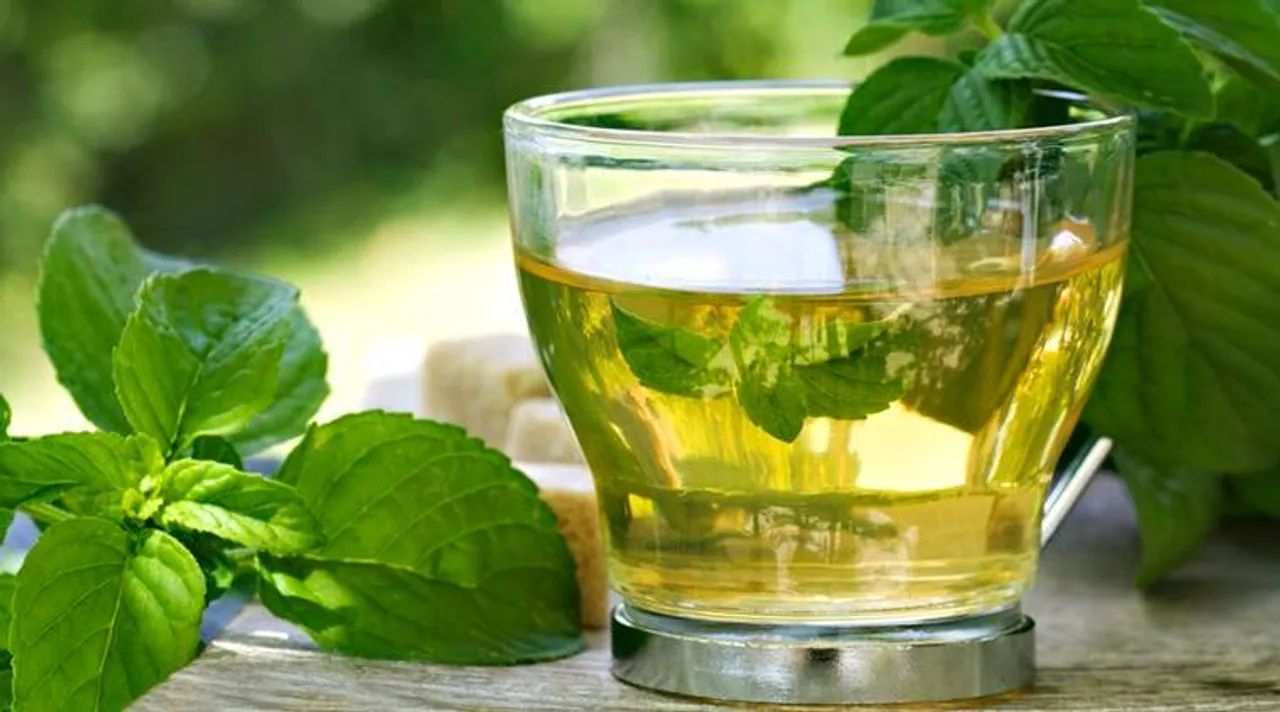 Green tea has very minimal caffeine content, which does not impact either the heart rate or metabolism to a damaging extent,” says Ritika Samaddar, Regional Head, Department of Clinical Nutrition and Dietetics, Max Healthcare. (File Photo)
