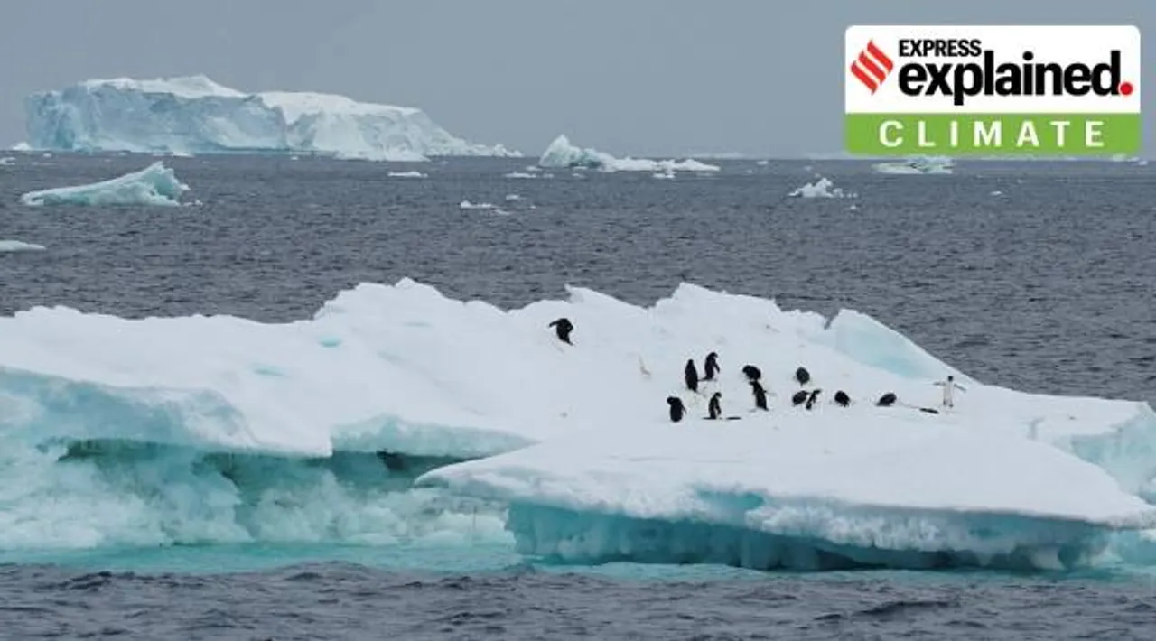 Penguins are seen on an iceberg as scientists investigate the impact of climate change on Antarctica's penguin colonies, on the northern side of the Antarctic peninsula, Antarctica January 15, 2022. (REUTERS/Natalie Thomas)