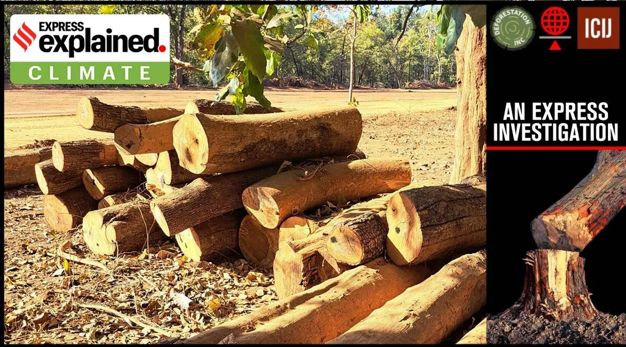 India's forests contribute just about five million cubic metres of wood every year. Almost 85 per cent of the demand for wood and wood products is met by trees outside forests (ToF) (Photo: Amitabh Sinha)