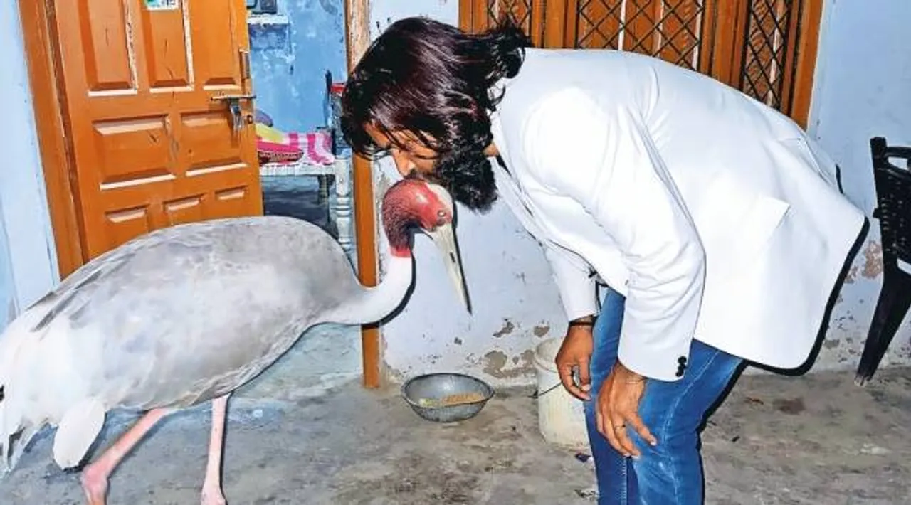 Mohammad Arif with the sarus crane