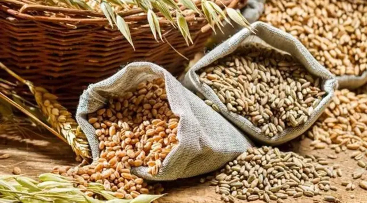 It stated that millets will now form an integral part of the daily meal for soldiers of all ranks. (File)