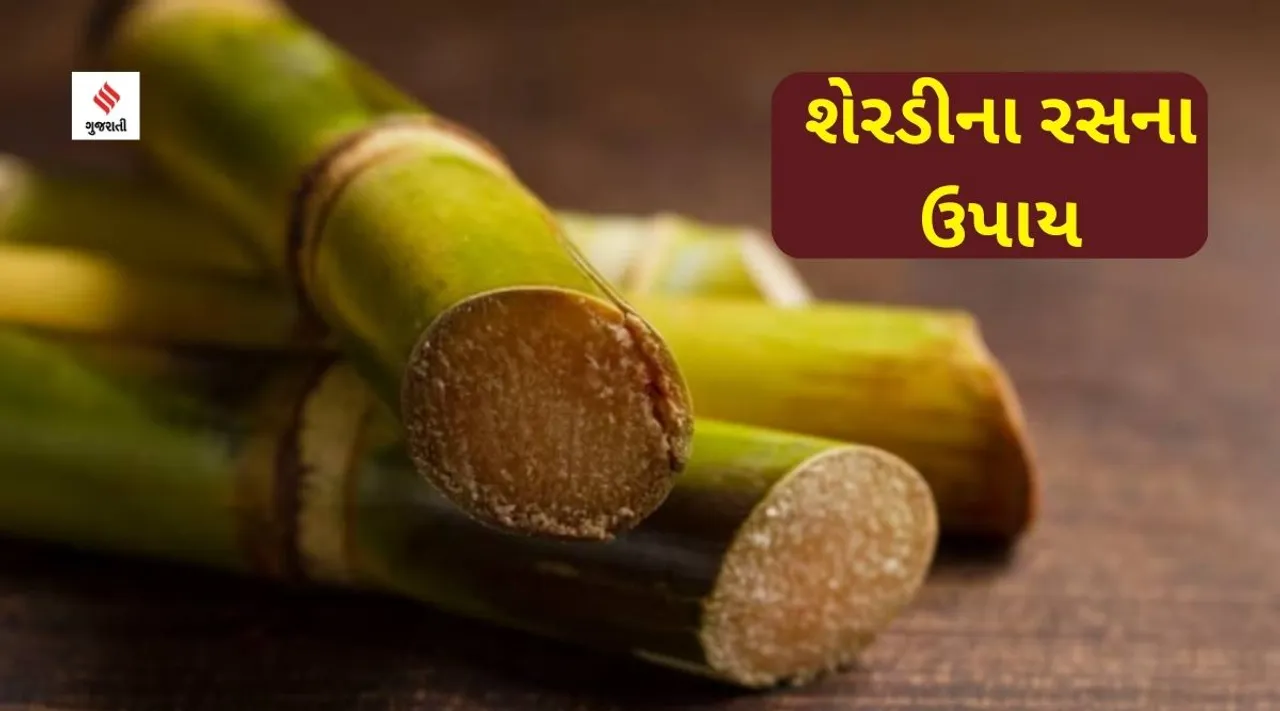 sherdi ras na upay, sherdi no ras lord shiva