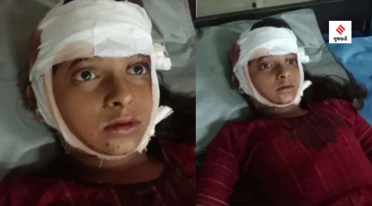 Gujarat leopard attacked