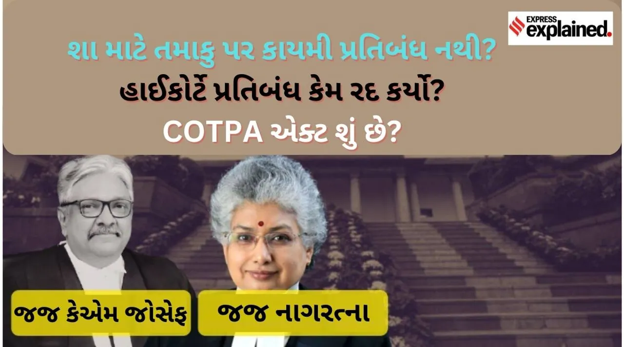 gutka pan masala plea