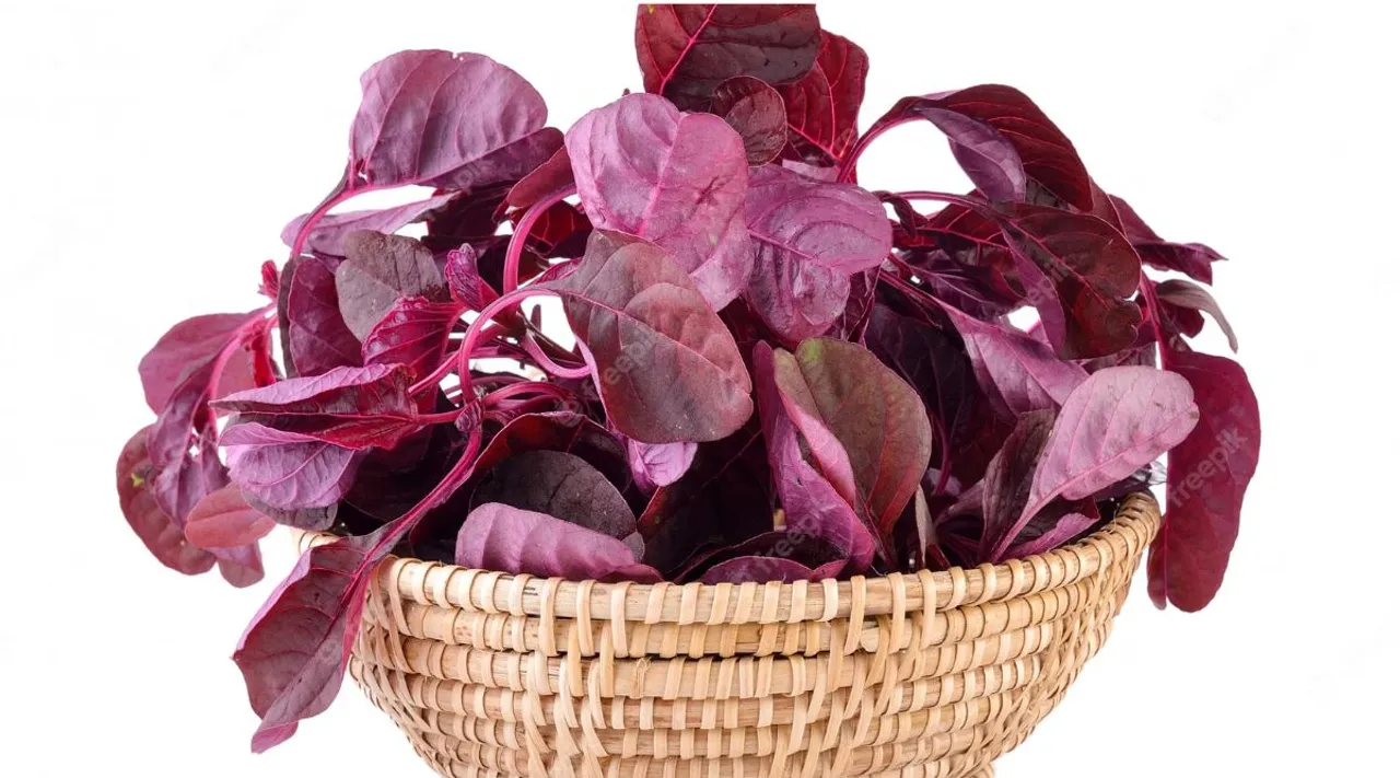 red spinach, Pic Credits : Freepik