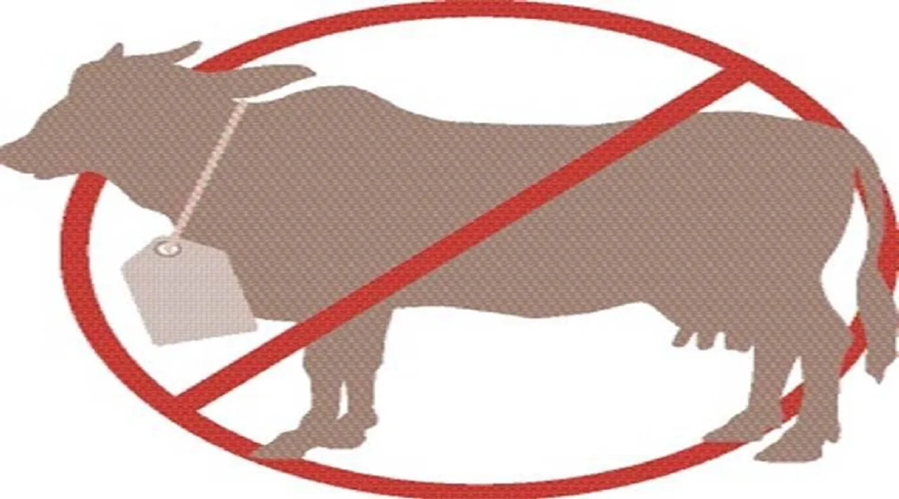 cow slaughter Case Amreli