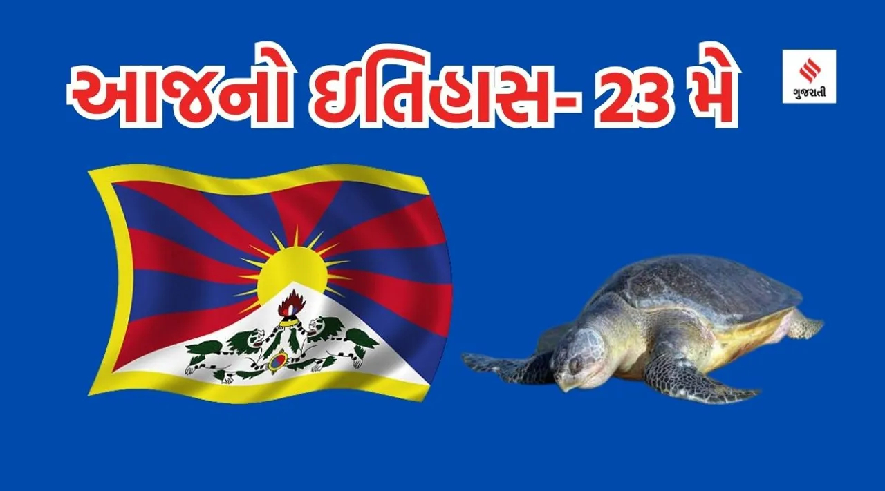 Tibet flag Turtle