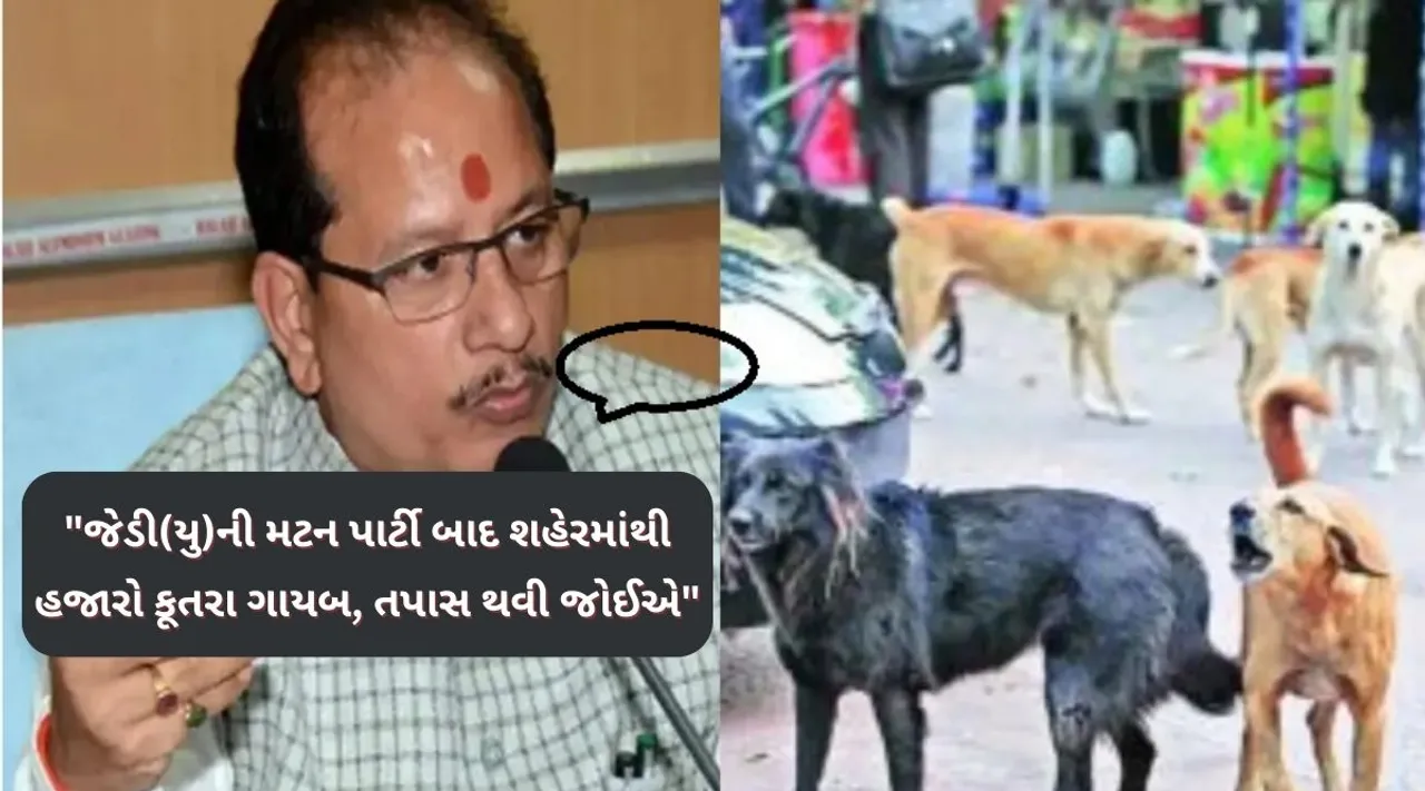 jdu meat and rice party