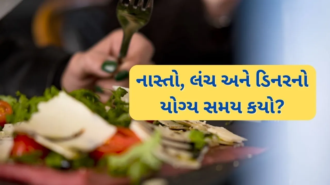 right time for breakfast, lunch and dinner