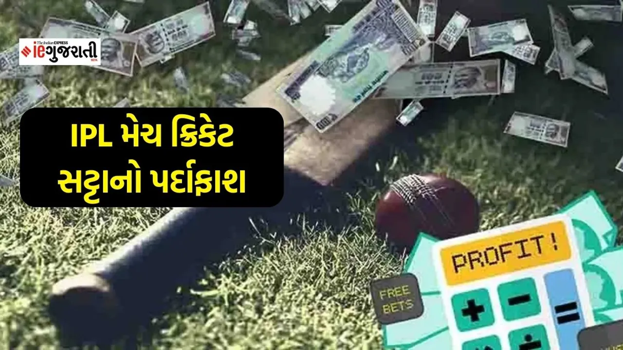 IPL betting racket pune, pune IPL betting racket