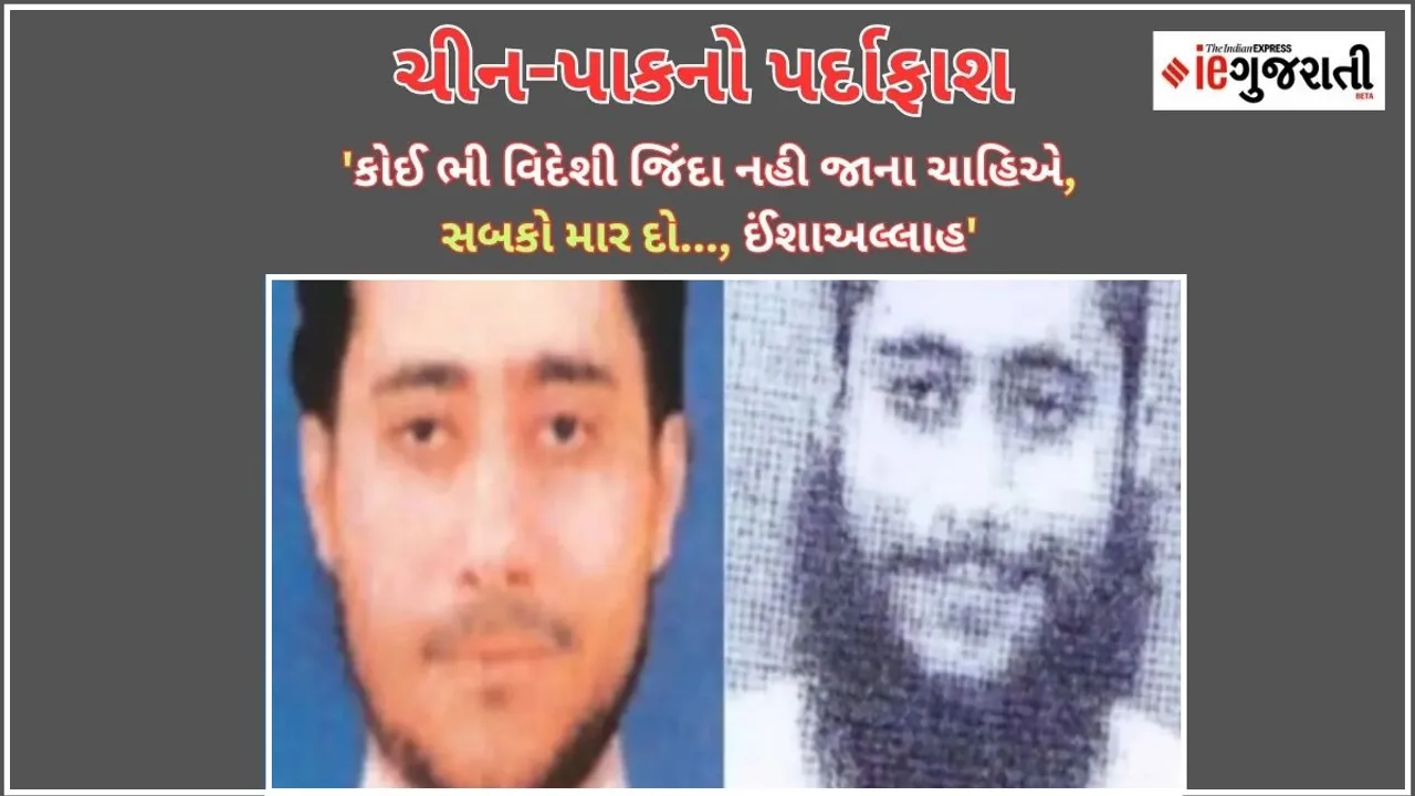 India exposed the terrorist love of China and Pakistan at the UN