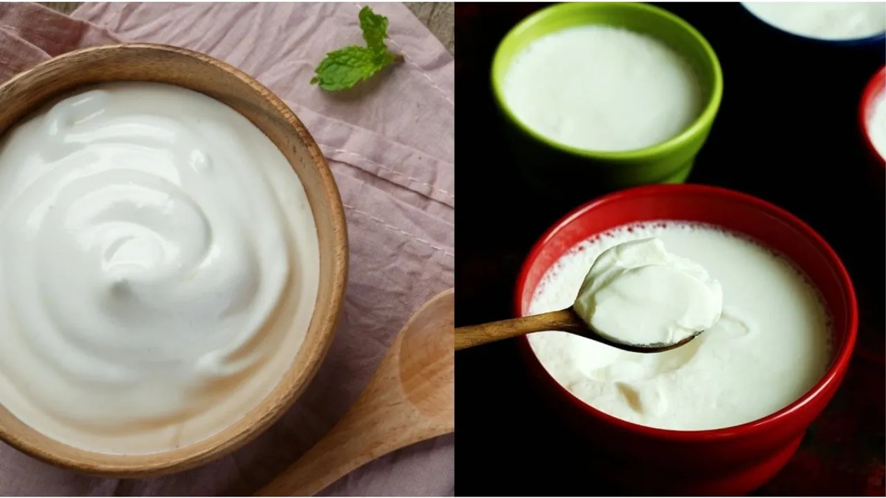 Packaged curd vs homemade curd: