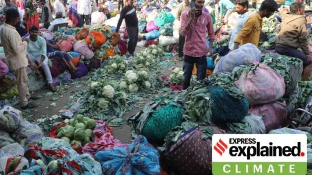 Vegetable market in Rajkot, Gujarat. (Express photo by Chirag Chotaliya)