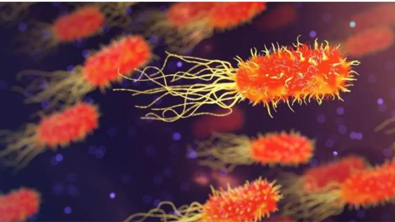 These sexually transmitted infections were known by Victorian society ( Pixabay)