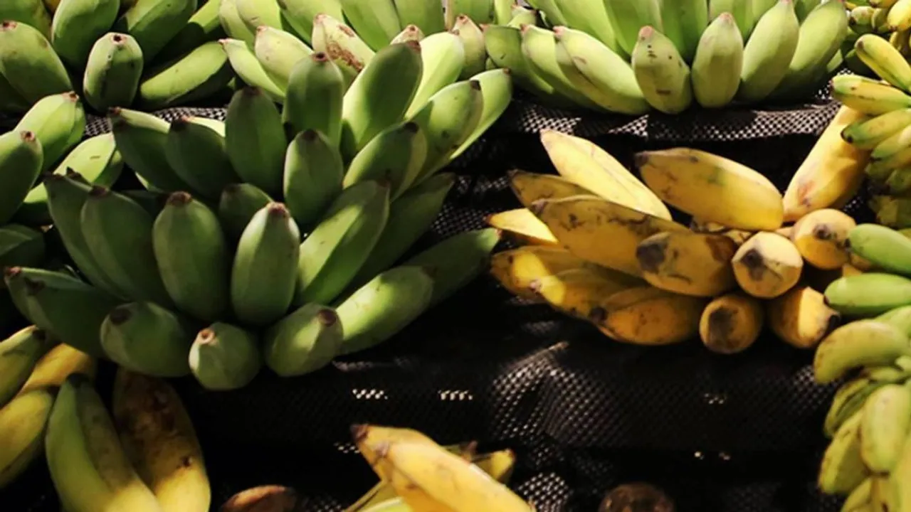 Although bananas are relatively high in carbohydrates, they also contain fiber, which aids in digestion and can promote feelings of fullness.