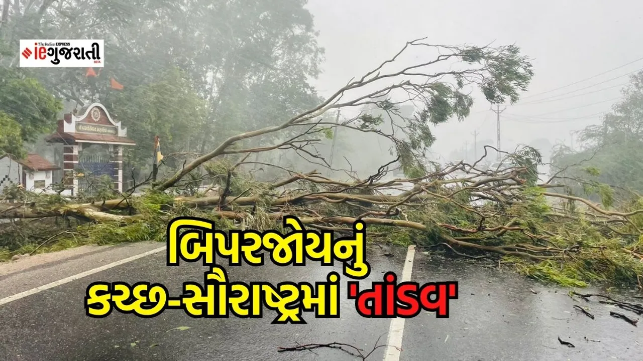 Cyclone Biparjoy Live News in Gujarati | Cyclone in Gujarat 2023 | Cyclone Biparjoy Tracker