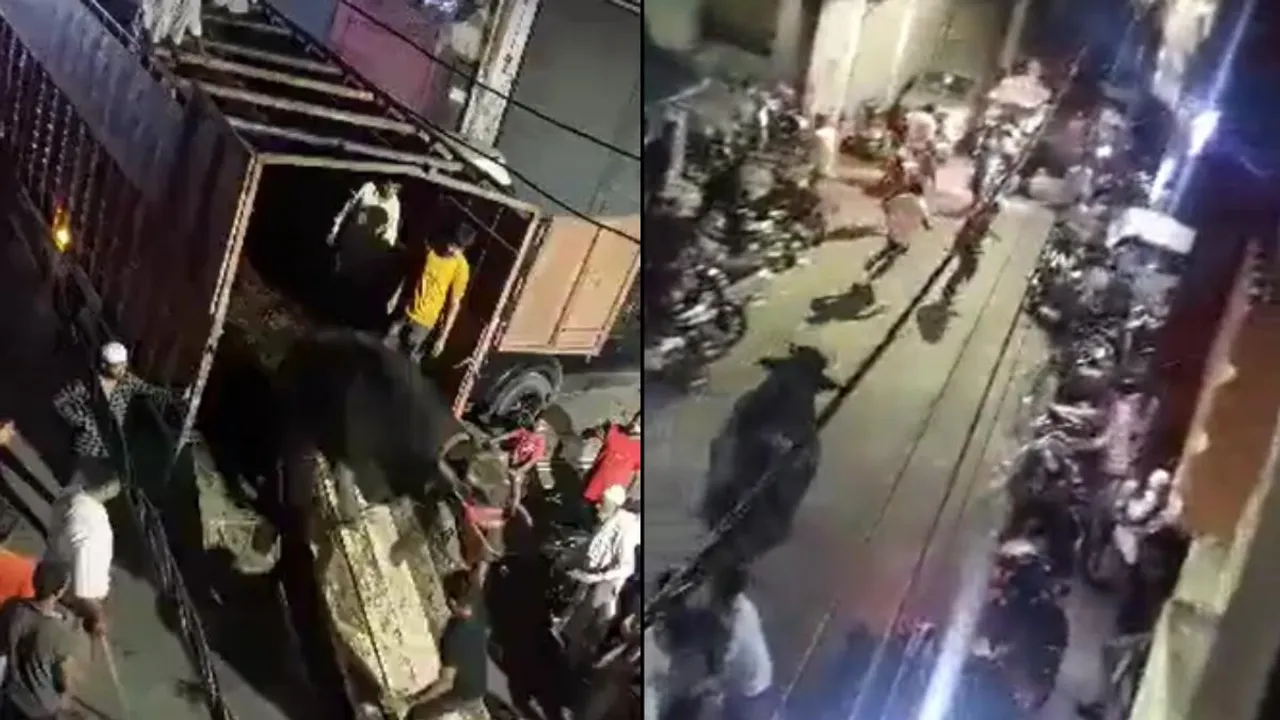 buffalo for sacrifice, buffalo brought for sacrifice, Moradabad viral video