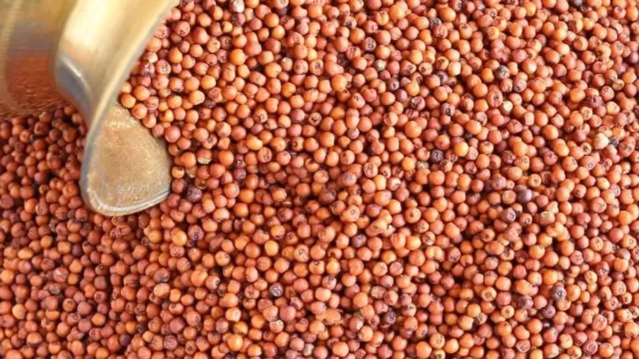 Is ragi better than milk for calcium?