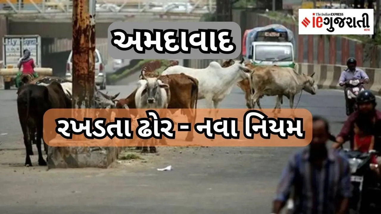 AMC | Stray Cattle Control Policy