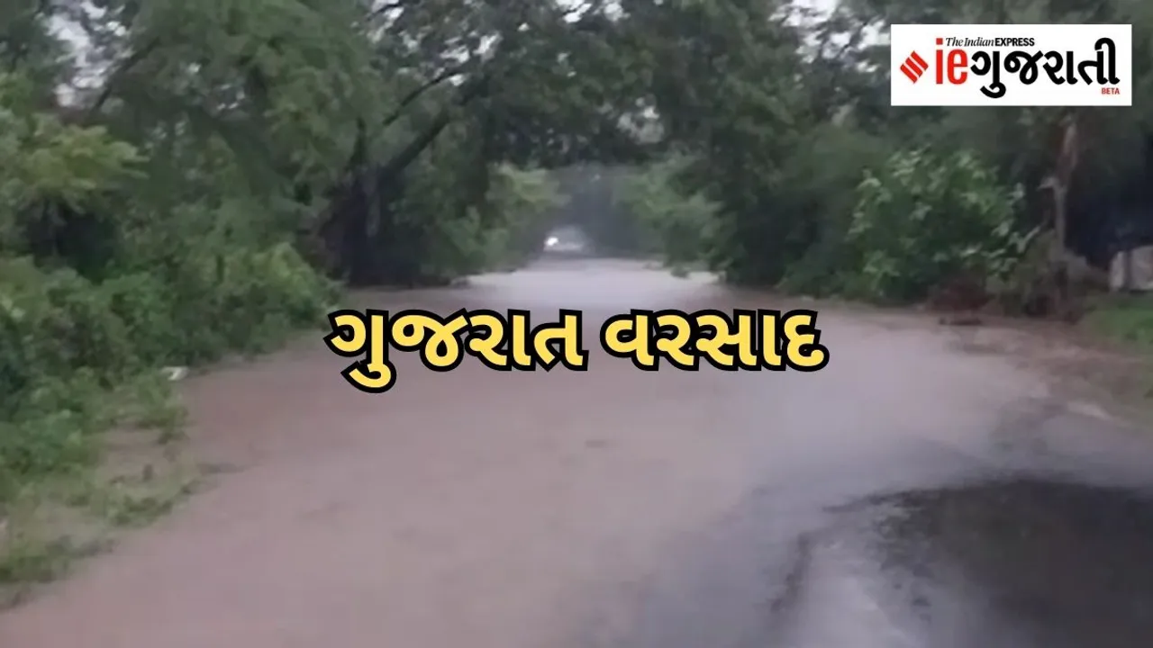 Gujarat Rain | Gujarat Weather