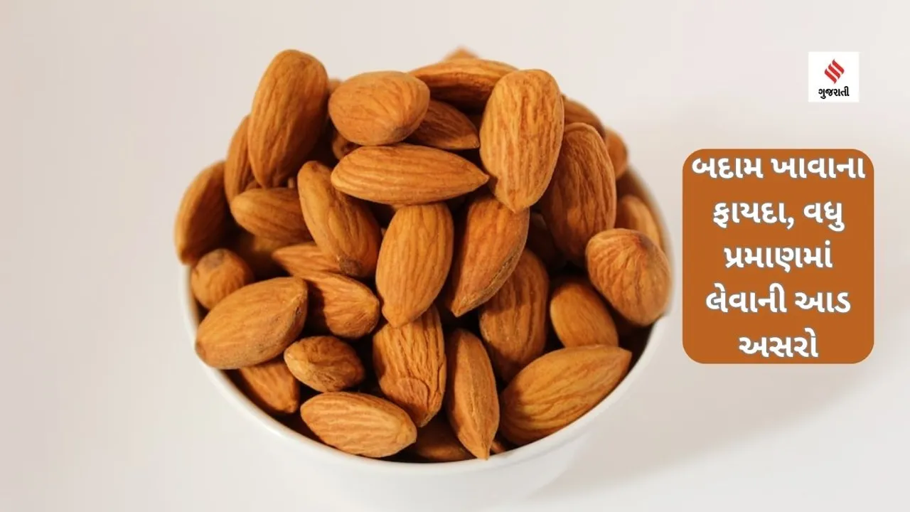 Fake Almonds: બદામ અસલી છે કે નકલી? આવી રીતે ચેક કરો; શિયાળામાં ડ્રાયફૂટ્સ ખરીદતી વખતે આ બાબતો ધ્યાનમાં રાખો